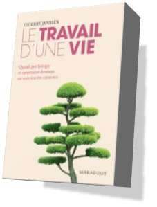 Le Travail d'une vie (poche)